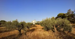 Tramonto Di Olive Gorgeous Villa by VillaRentalsgr - Image 5