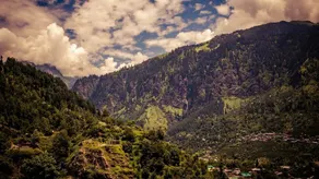 Backpacker Panda Manali - Image 4