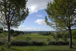 Domaine De Cousignac - Image 3