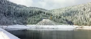 Kr�henbad - Image 3
