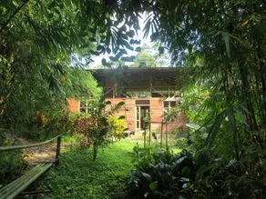 Huella Verde Rainforest Lodge - Image 2