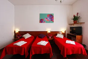 Affittacamere Pigneto Roma - Image 3