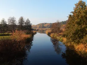 Pension Wiesenhof - Image 3