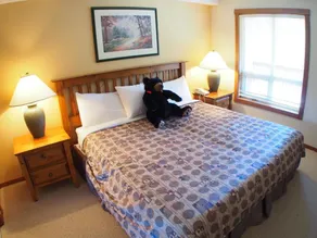 Fireside Lodge by Bear Country - Image 2