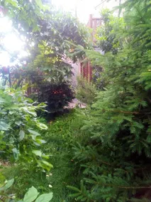 2 bedrooms chalet with enclosed garden and wifi at Gratillon - Image 5