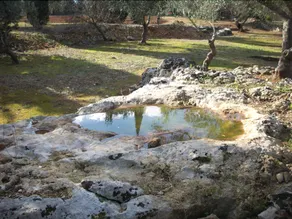 Agri Gallipoli - Image 5