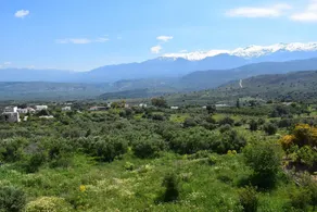 Eirini's Stone House - Image 4