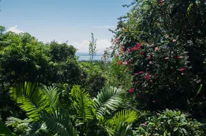 Le Triskell-Guest House - Image 4
