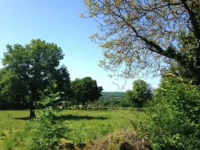 Domaine Du Terrou - Image 5