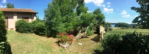 Agriturismo Il Castoro - Image 3