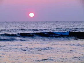 Amadeo Beach Resort - Image 5