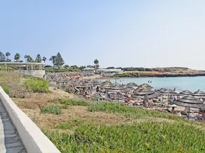 Merry Sotira in Sotira - Image 4