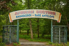 Tentrr - Abandoned Zoo Wooded Site - Image 5