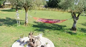 Charming 3-bed Lodge in Penela, Central Portugal - Image 4