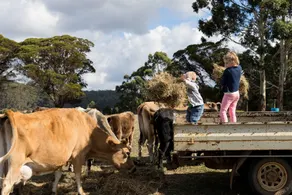 Misty Valley Country Cottages - Image 5