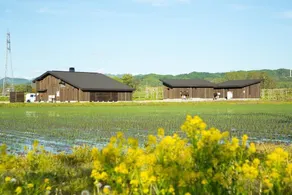 Cottage Ekara - Image 2