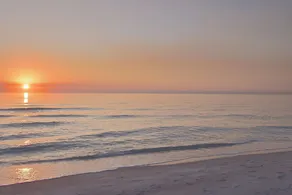 Huge 4br/4ba W/ Screened Pool - Walk To Lido Beach 4 Bedroom Home - Image 4