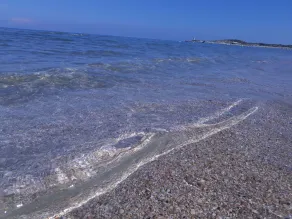 Uliveto Del Gargano - Image 2