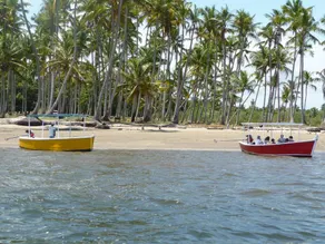 As Coloridas - Image 5