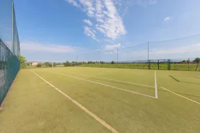 Il Green - Image 5