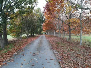 Quinta Grande da Raposeira - Image 4