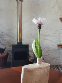 1 Bedroom Bothy on the Outskirts of Evanton - Image 4