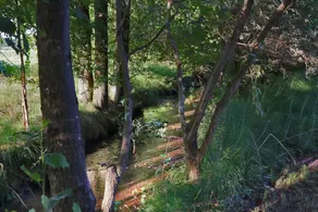 La Fonte - Image 4