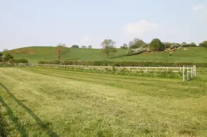 Wootton Park - Image 2