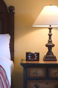 The Lodge & Spa at Callaway Gardens - Image 2