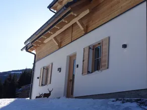 Detached Chalet w/ Combi Sauna, Near ski Lift,haus Liene - Image 4