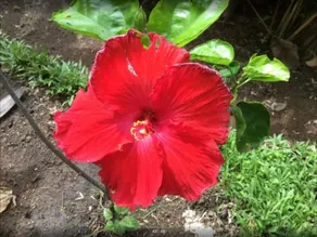 Hacienda de los Suenos - Image 3