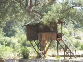 Olympos Woods - Image 4