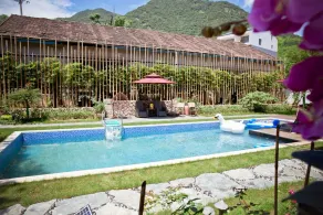 Moganshan Banduju - Image 3