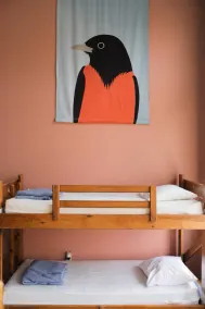 Hostel Buffalo Niagara - Image 2