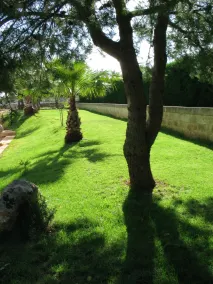 Agriturismo Matine - Image 2