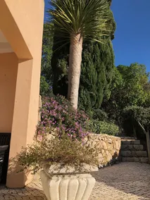 Villa Guincho - Image 5