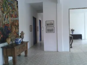 Quinta Das Palmeiras - Image 4