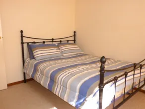 14 Lomandra - Image 4