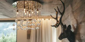Chalet Salena - Image 3