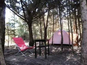 Drolma Ling Nature Cabins - Image 2