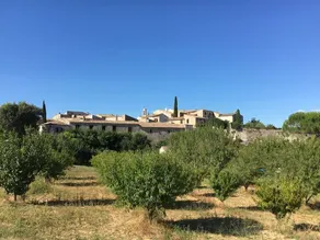 La Vivienda - Image 4