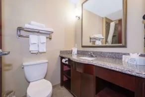 Comfort Inn & Suites Maingate South - Image 2
