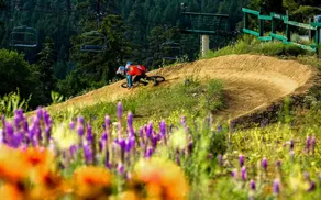 Alpine Escape by Big Bear Cool Cabins - Image 4