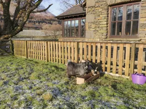 Coombe Cottage - Image 4