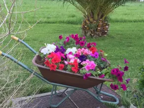 Rancho Santa Geronima - Image 5