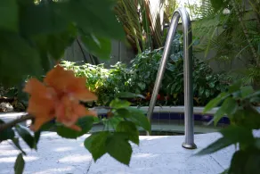 The Banyan Resort - Image 5