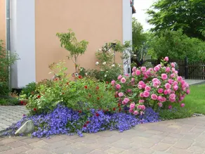 Steffi's Zimmervermietung - Image 4