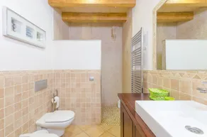 Sargantana Nova - Image 3