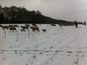 Grove Farm Direct - Image 3