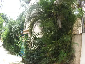 Colibri Resort - Image 4